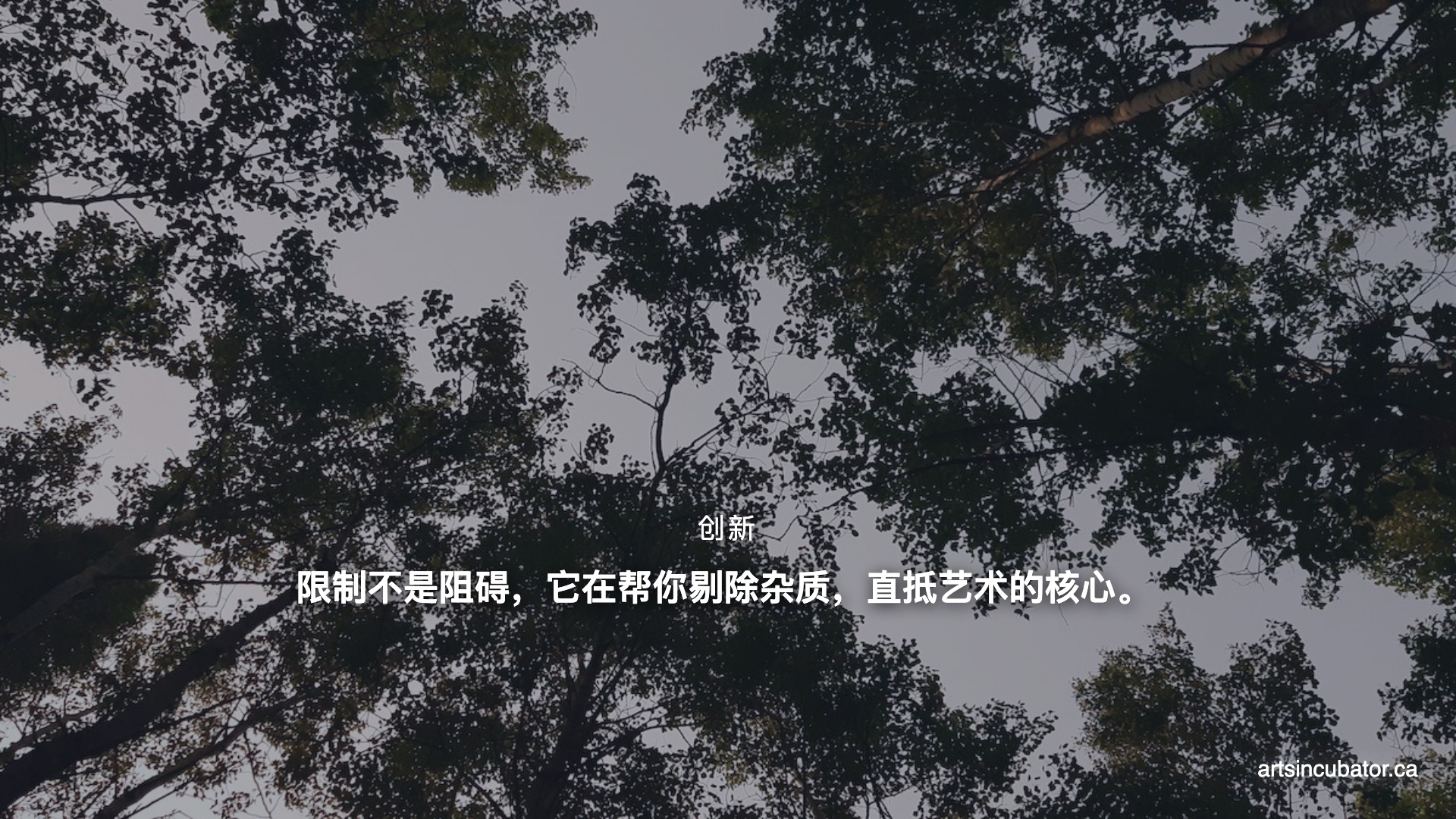 边框内的自由：为什么“资源匮乏”才是草根艺术最隐秘的捷径