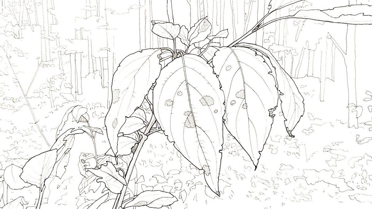 art-borups-corners-colouring-and-painting-templates-1