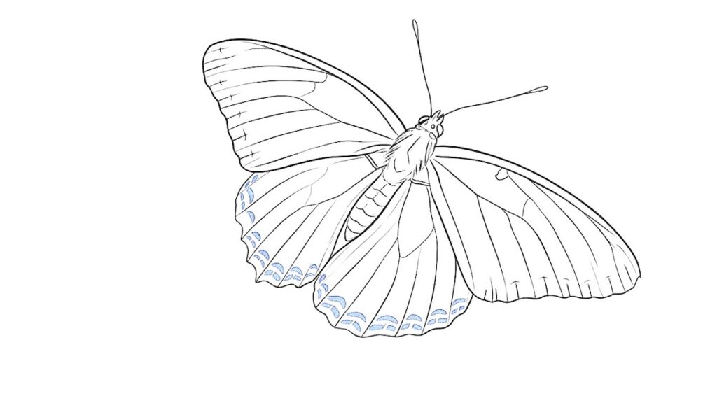We're turning our favourite summer photos into custom coloring pages – ready for your creative touch!