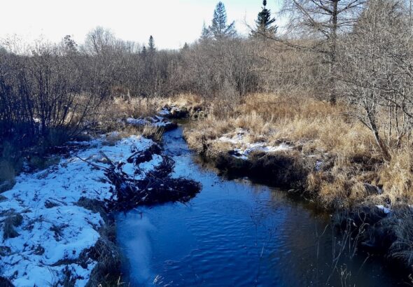 A thin layer of ice forms across a quiet pond caught between autumn and winter. Its shifting surface reflects the slow, patient rhythm of the northern landscape.
