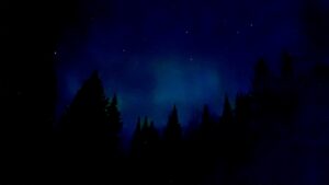 Ribbons of green and purple aurora stretched across a star-filled night sky.
