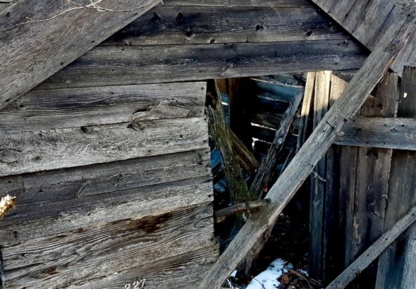 An abandoned shack rests among snow-dusted trees, its roof caved in and walls weathered gray. Light filters through broken boards, casting shadows across the forest floor.