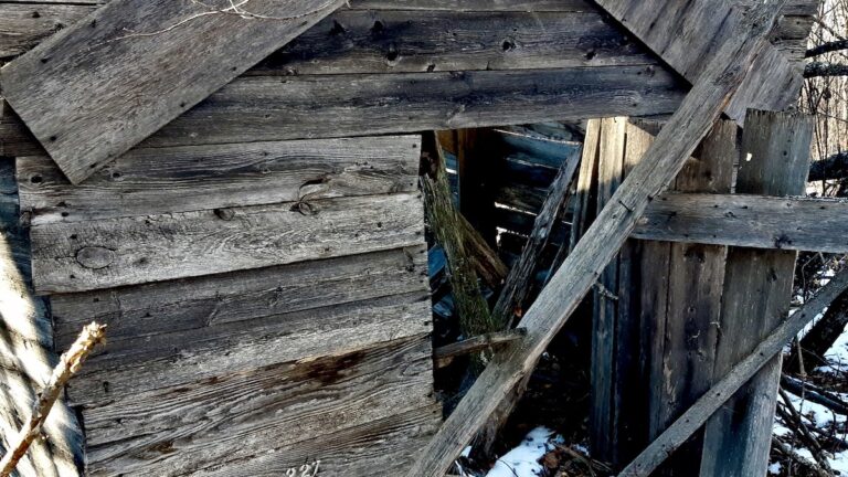 An abandoned shack rests among snow-dusted trees, its roof caved in and walls weathered gray. Light filters through broken boards, casting shadows across the forest floor.