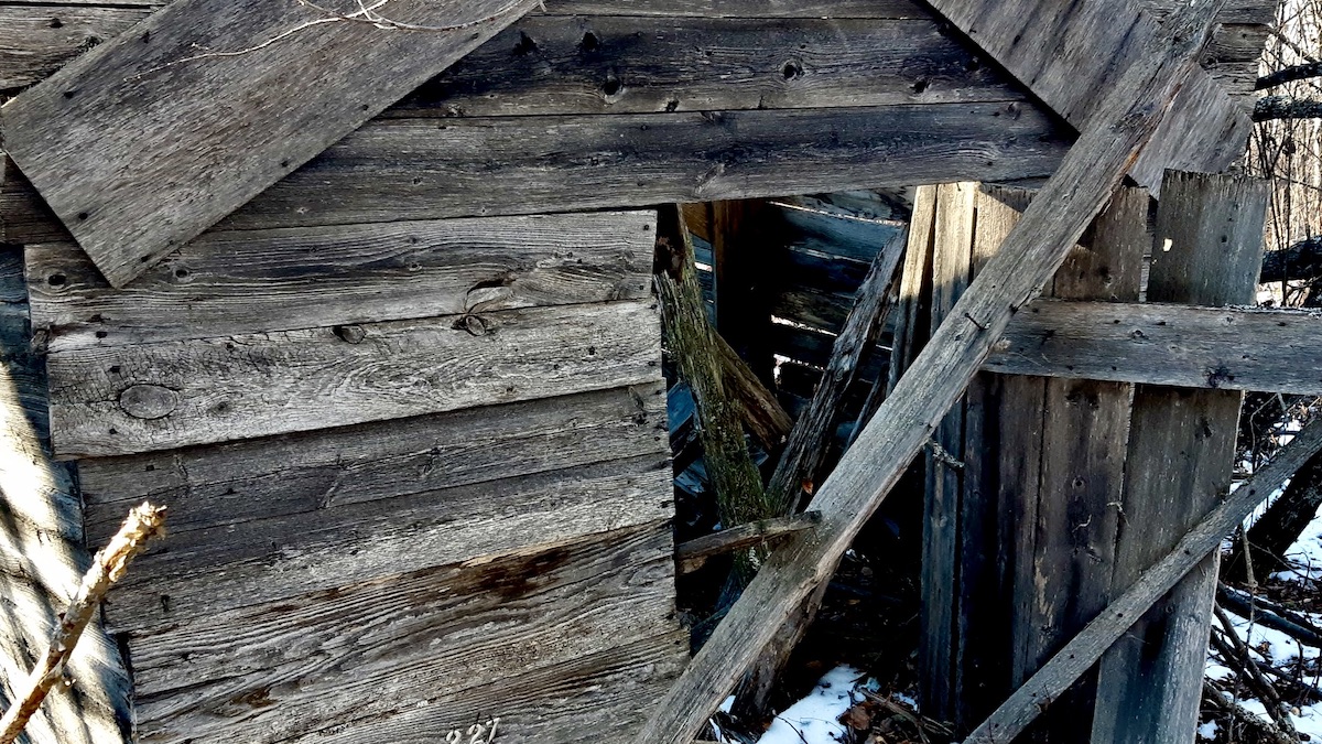 An abandoned shack rests among snow-dusted trees, its roof caved in and walls weathered gray. Light filters through broken boards, casting shadows across the forest floor.