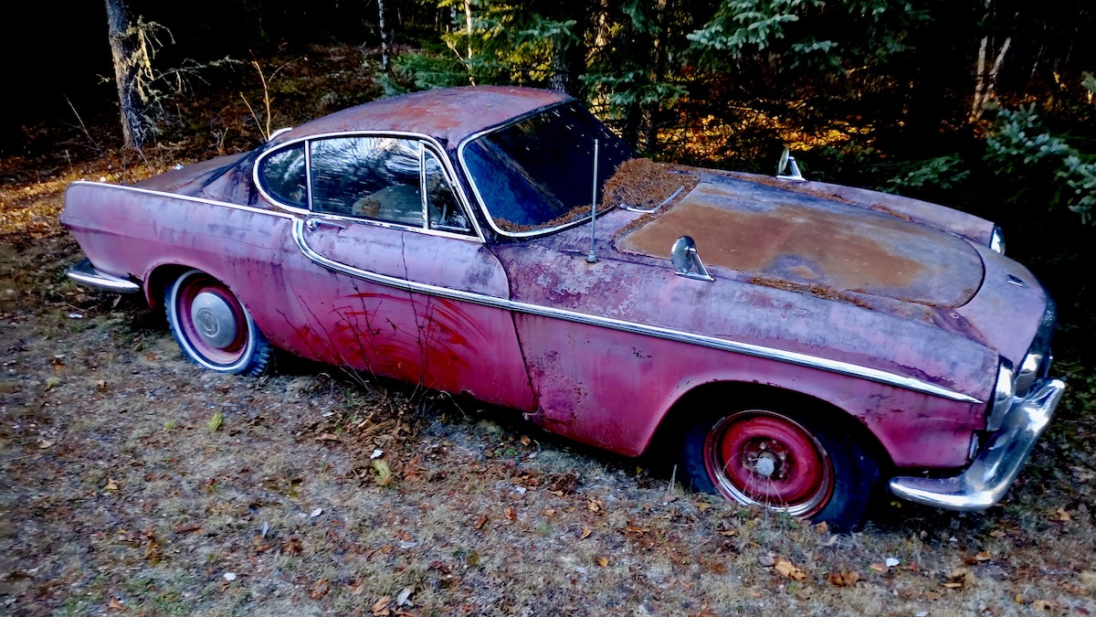 Once a star of highways and TV screens, this Volvo P1800 now rests quietly, slowly embraced by nature. Photo: Jamie Bell