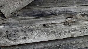 Have old barn boards? Donate them to help build our new community gallery space.