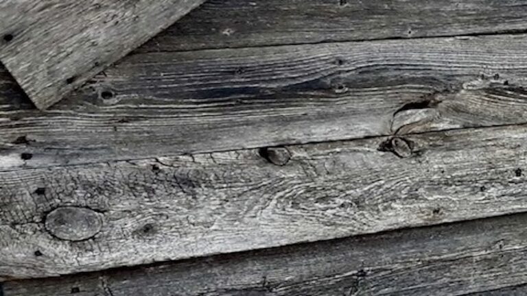 Have old barn boards? Donate them to help build our new community gallery space.