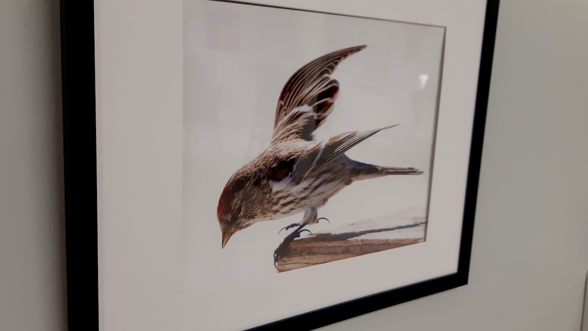 Allison Dunham’s photography captures light, texture, and quiet moments, bringing Northwestern Ontario landscapes and scenes into sharp focus.