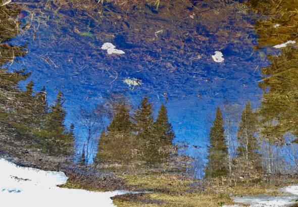 Spring outdoor arts - land activities - northwestern ontario