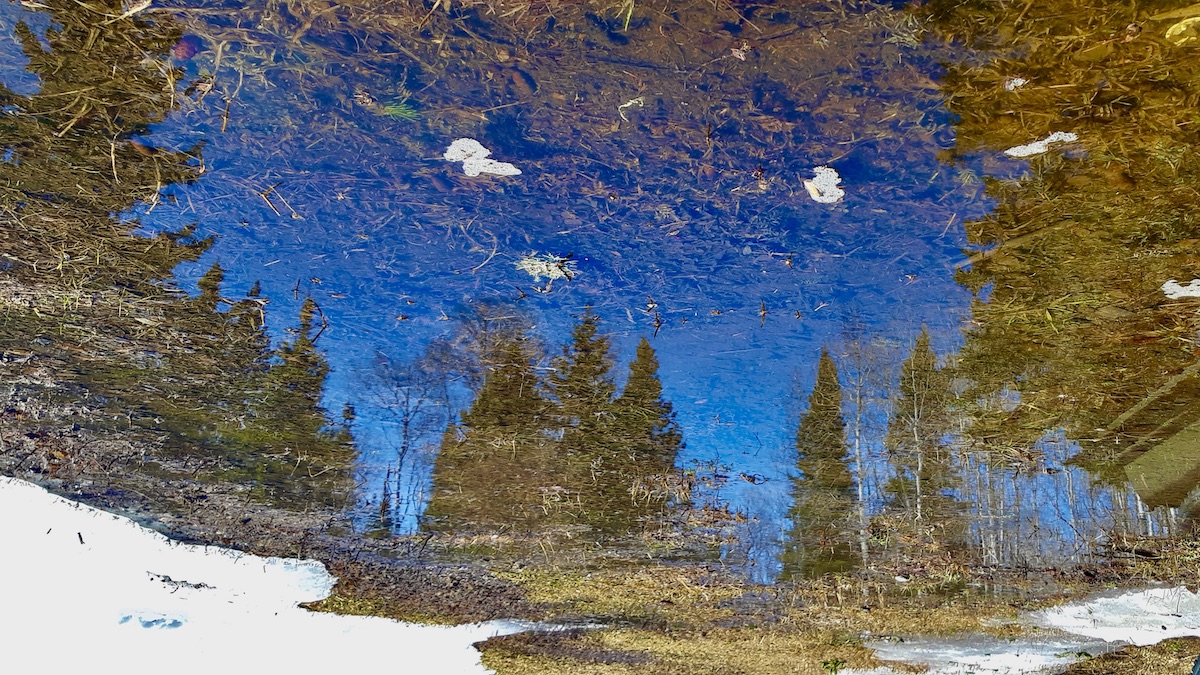 Spring outdoor arts - land activities - northwestern ontario