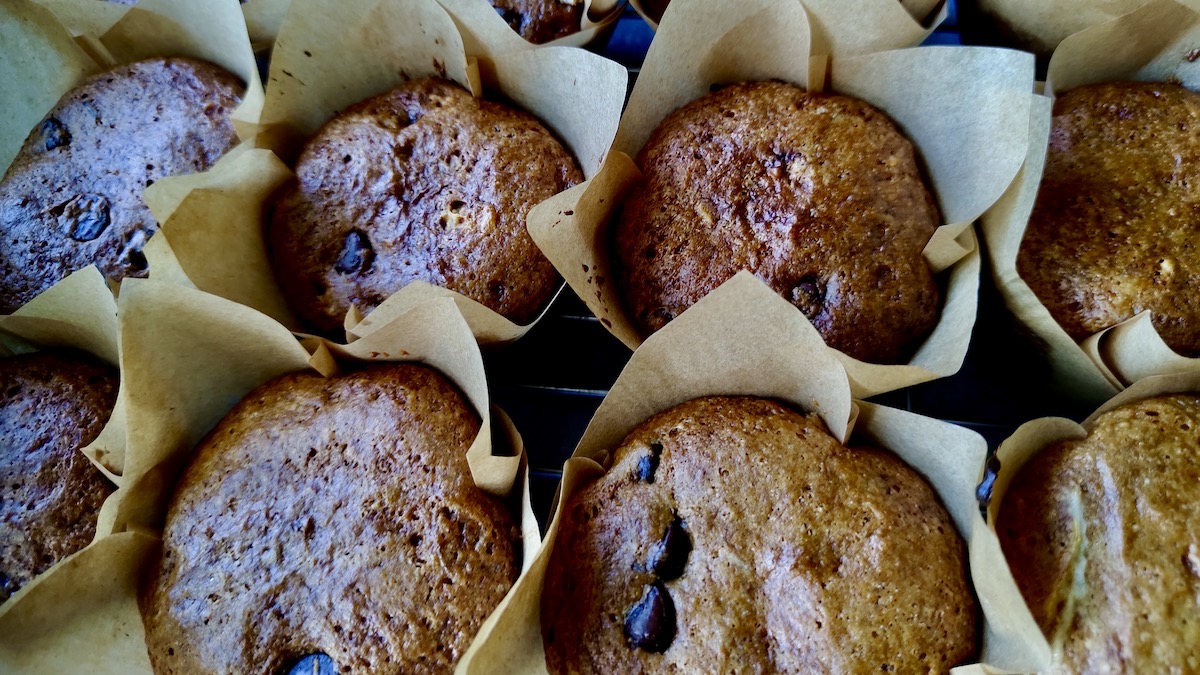 Get a sneak peek into our berry expansion project, featuring saskatoons, blackberries, and blueberries.