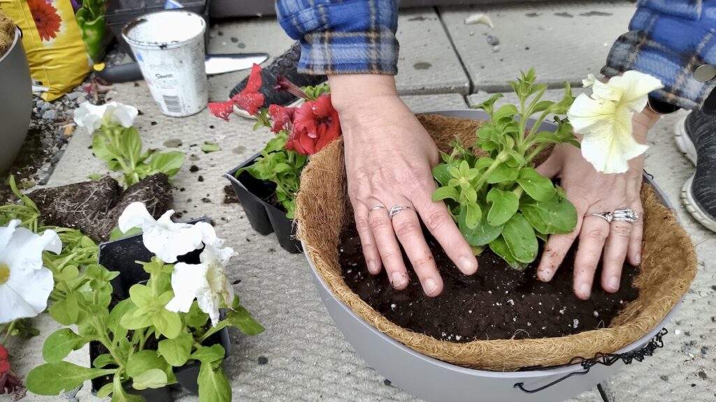 A community garden and flower planting project at Dyment Recreation Hall brought volunteers together to beautify park and recreation spaces in Melgund Township before Canada Day celebrations.
