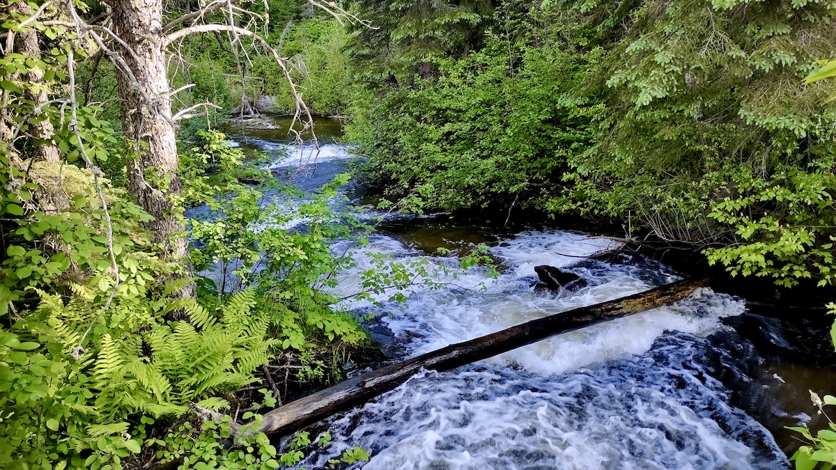 Melgund Creek in Melgund Township, Northwestern Ontario is flowing beautifully this time of year.