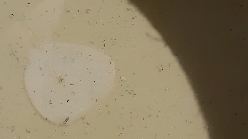 Freshly collected wild clay before refinement. Roots, organic matter, and small stones are still visible throughout the slurry, making this a good example of what locally harvested clay looks like before processing begins.