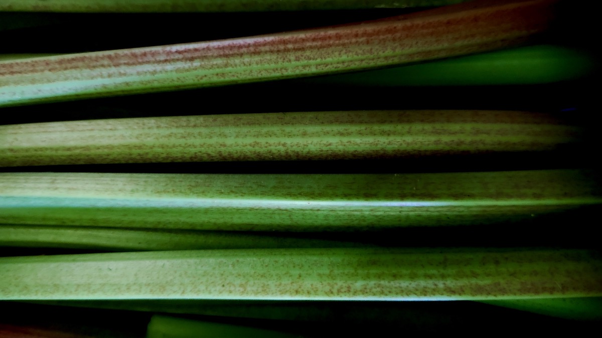 Mother Nature’s sour candy just got an upgrade. Gather around to see how a bumper crop of robust stalks is transforming dessert today.