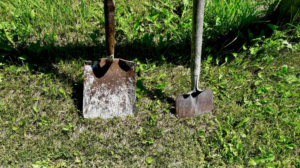The flat, straight blade of the square-mouth spade is the secret weapon for harvesting. Unlike a rounded shovel that pierces the earth, a flat spade lets you shave off uniform, clean slabs of heavy clay, which makes it much easier to portion into buckets.