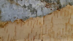 Birch bark is a highly responsive firing material that burns quickly in low oxygen conditions, producing intense carbon black that transfers directly onto clay surfaces during pit firing.