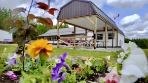 Art Borups Corners: Taking the Arts Outdoors