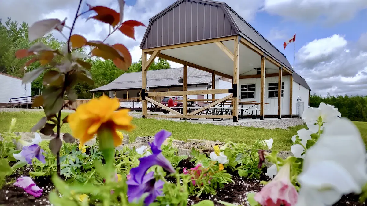 Art Borups Corners: Taking the Arts Outdoors