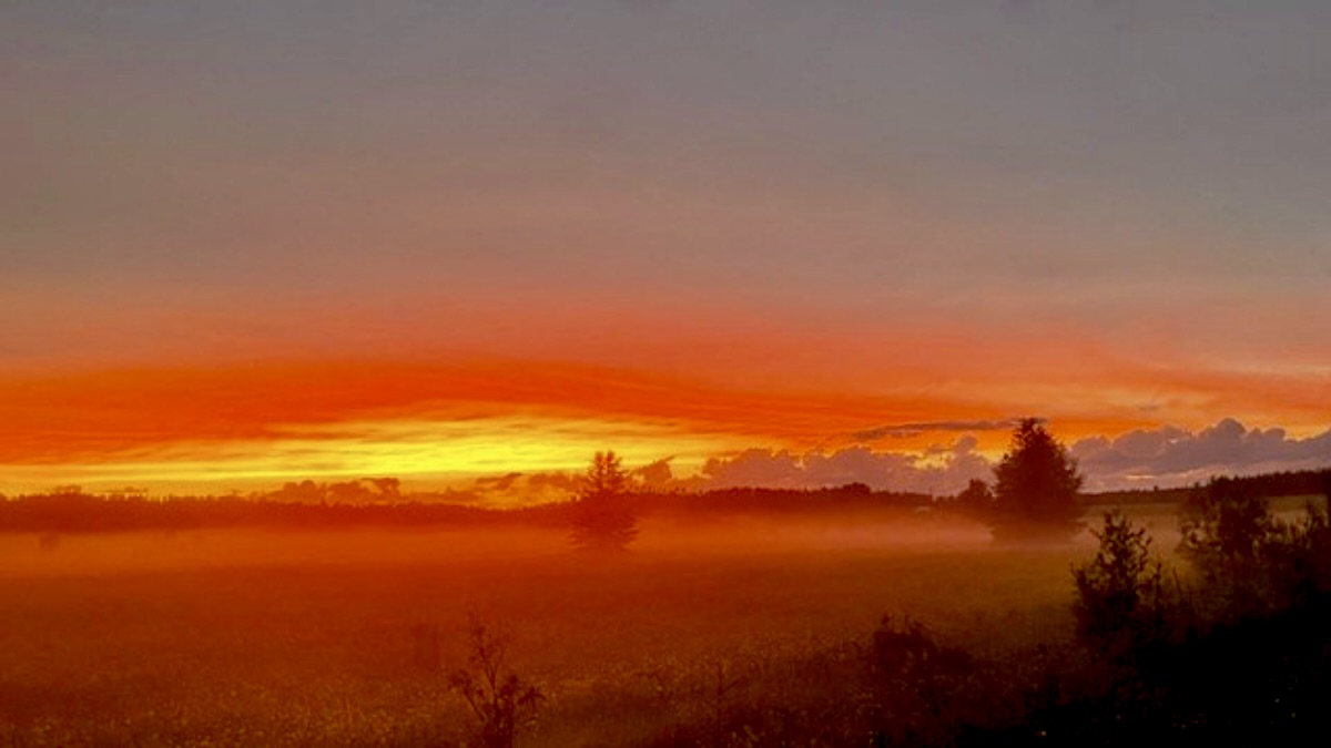 After the Storm