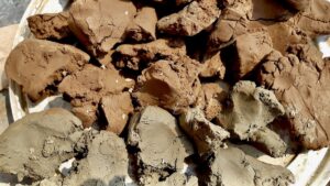 More than 35 pounds of locally harvested grey, red, and varved wild clay drying after being slaked and processed. Every batch has helped us learn more about the natural materials beneath our feet.