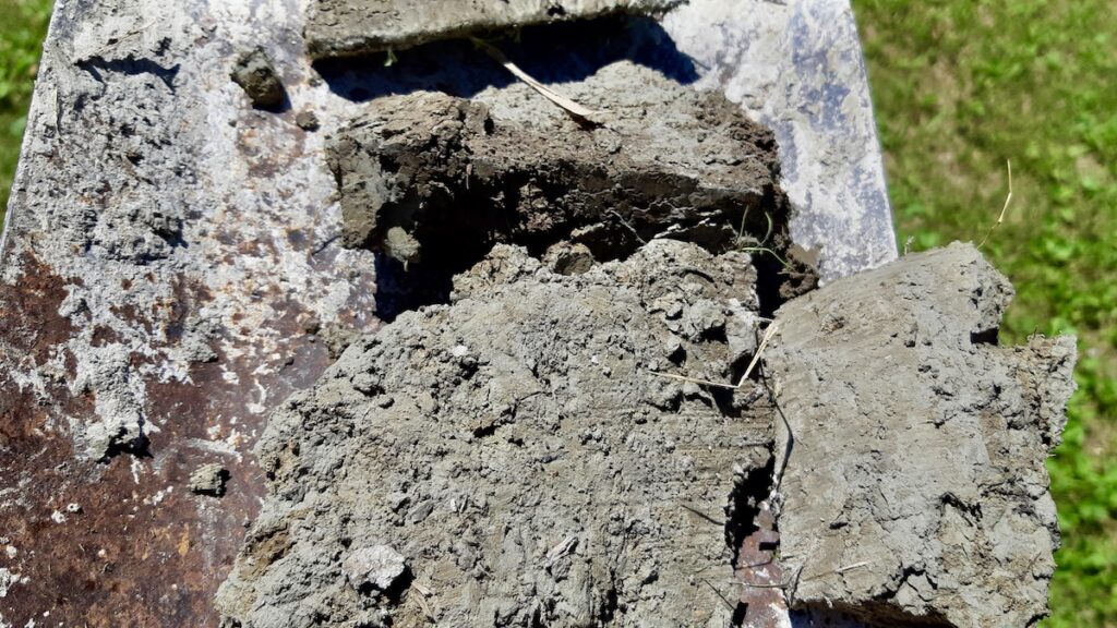 Freshly excavated wild clay sitting right on the spade blade. This crude, heavy mass is full of small rocks, root fragments, and organic debris, showing exactly why the material needs to be dried, dissolved, and strained before it can ever be thrown or sculpted.