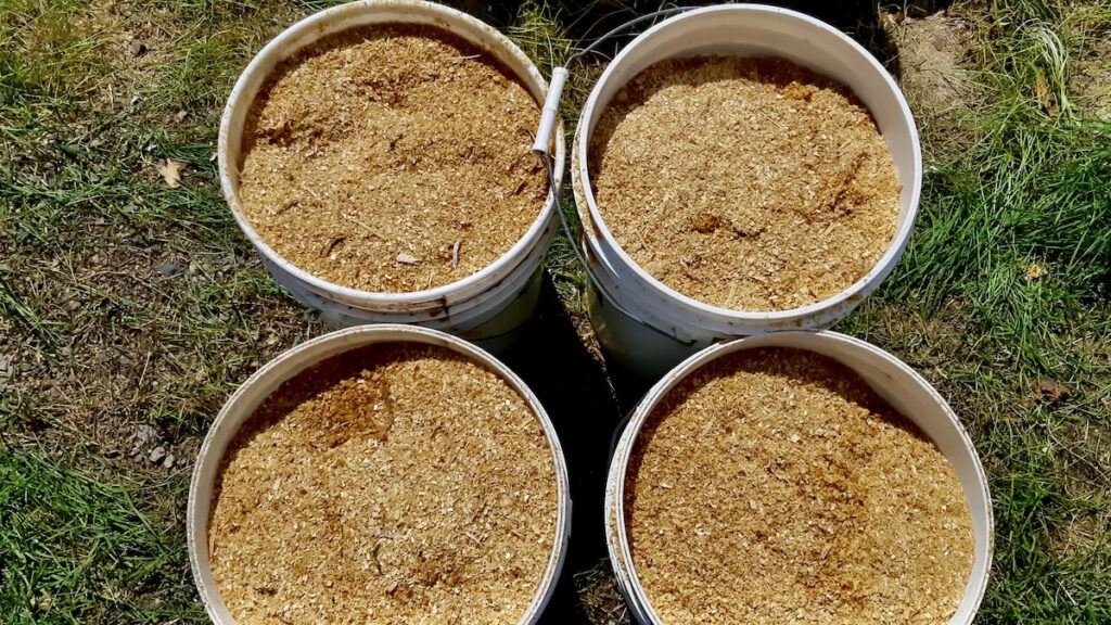 A small reserve of birch sawdust ready for the fire. Stored in 20-litre pails, this lightweight material will become part of the firing process, contributing smoke, carbon, and unpredictable markings to the finished pottery.