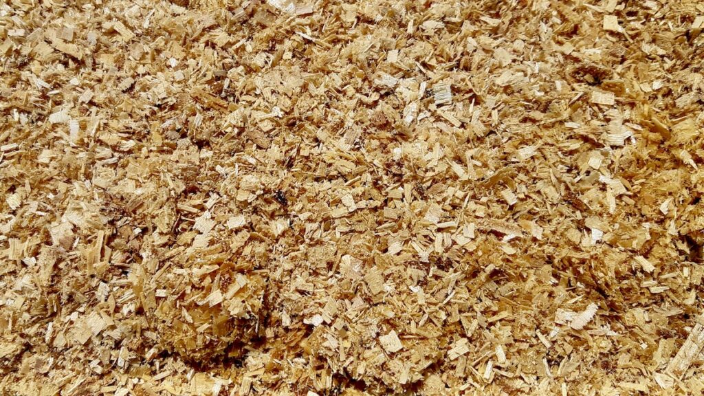 The fine grains of birch sawdust that will surround the pottery during firing. As the material burns and smoulders, it leaves behind traces of smoke and carbon that become part of the ceramic surface.