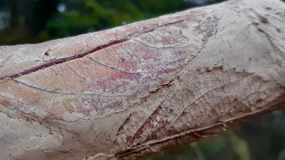 We're thinking about the things we leave behind. Birch bark, clay, small artworks and stories all have their own ways of surviving. This experiment is about bringing a few of those materials together and seeing what they might become.