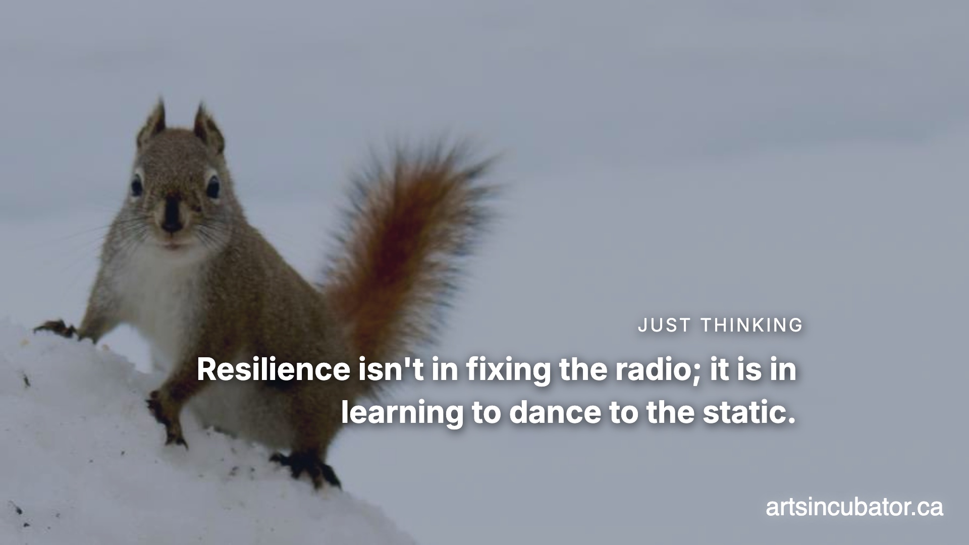 The Frequency of the Glitch