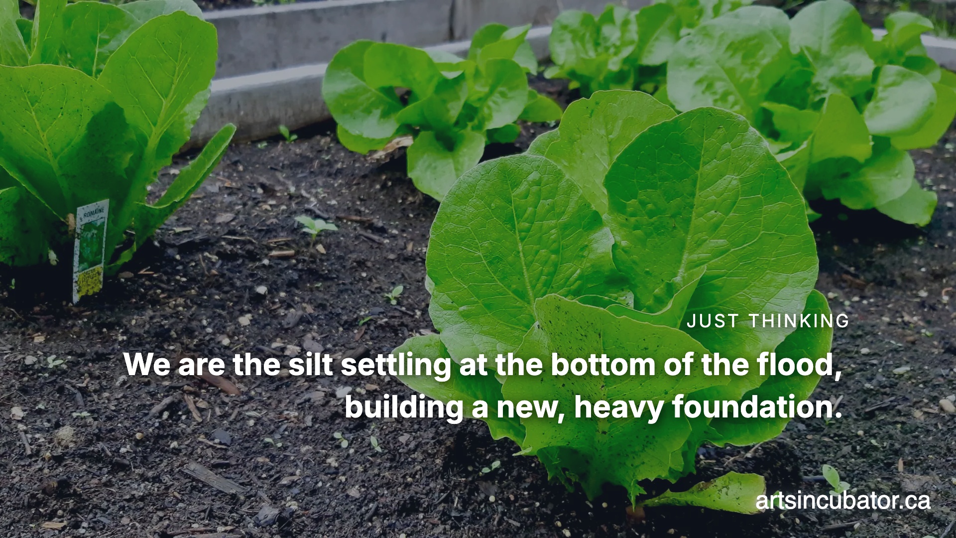 The Humus of the Heavy Weather