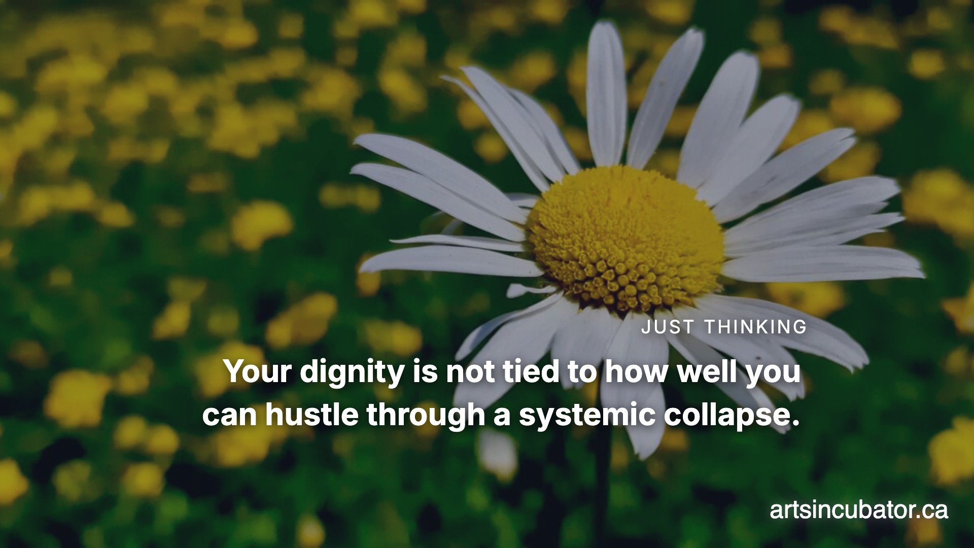 The Math Is Not Mathing And That Is Okay