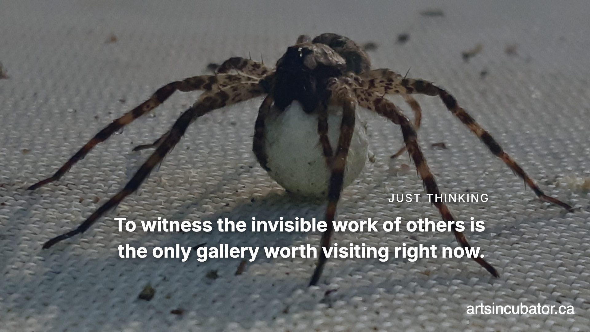 The Museum of the Afterimage