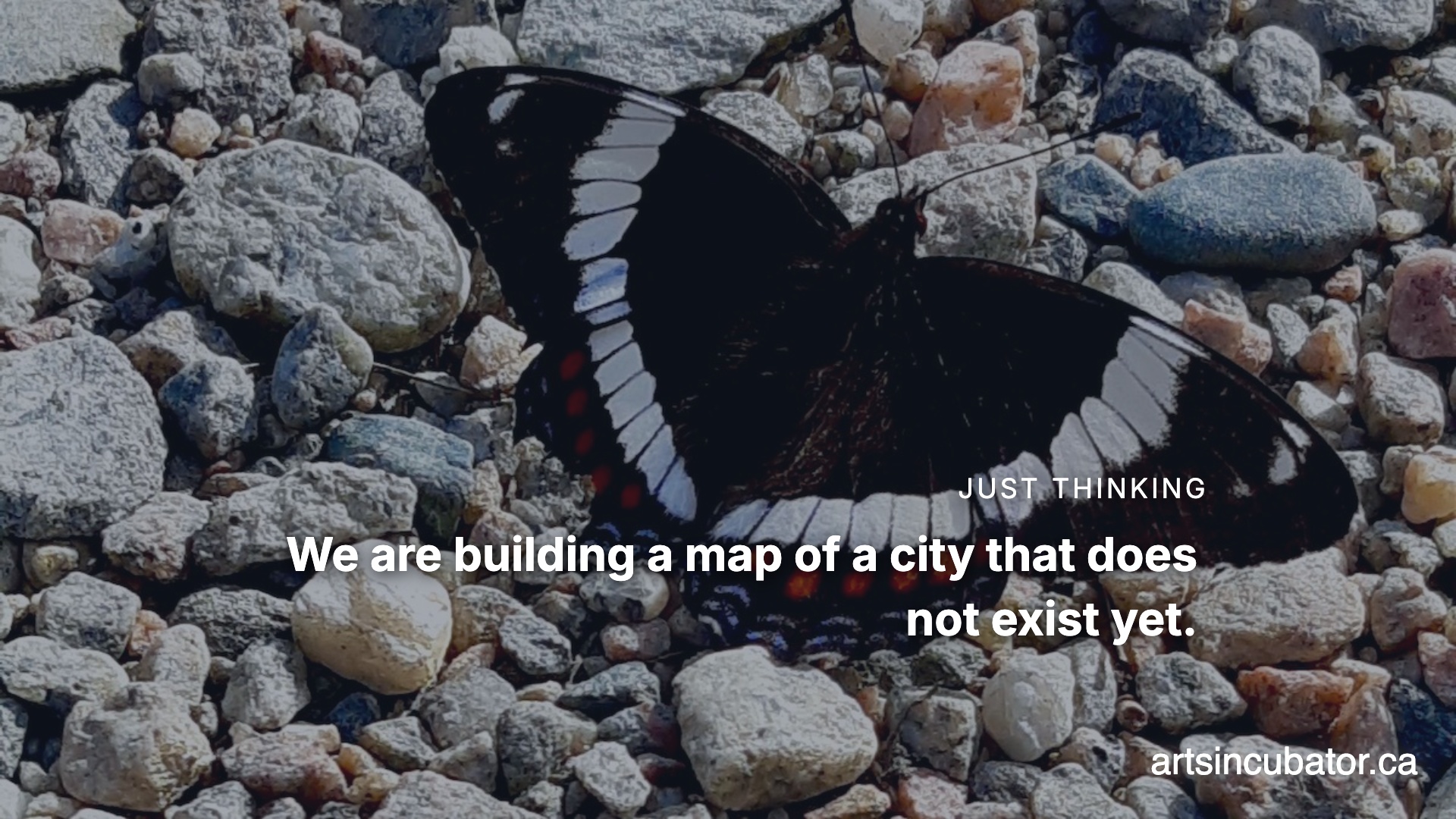 Your Portfolio Is A Graveyard For Dead Dreams