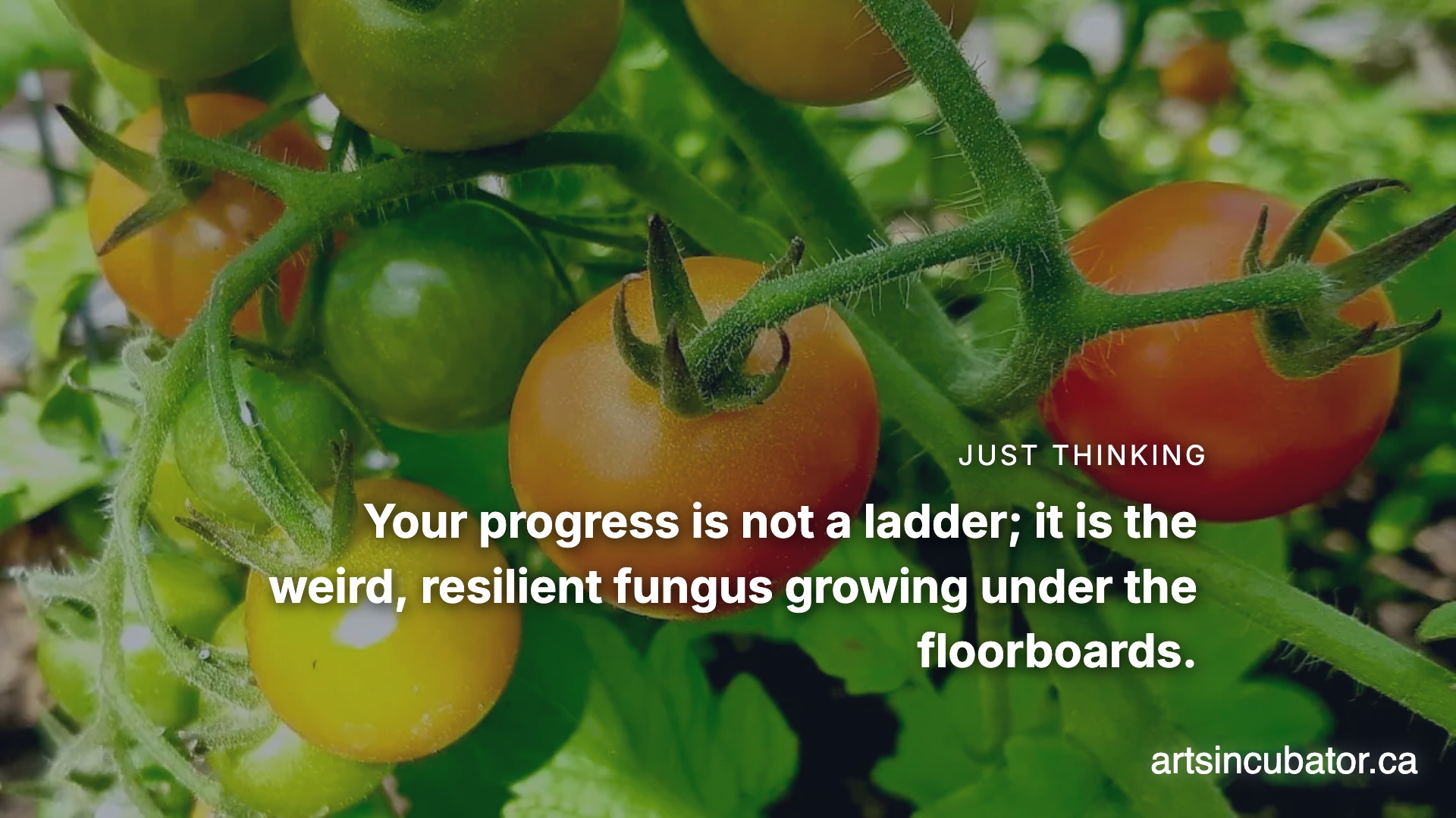 Stop Treating Your Soul Like A Logistics Company