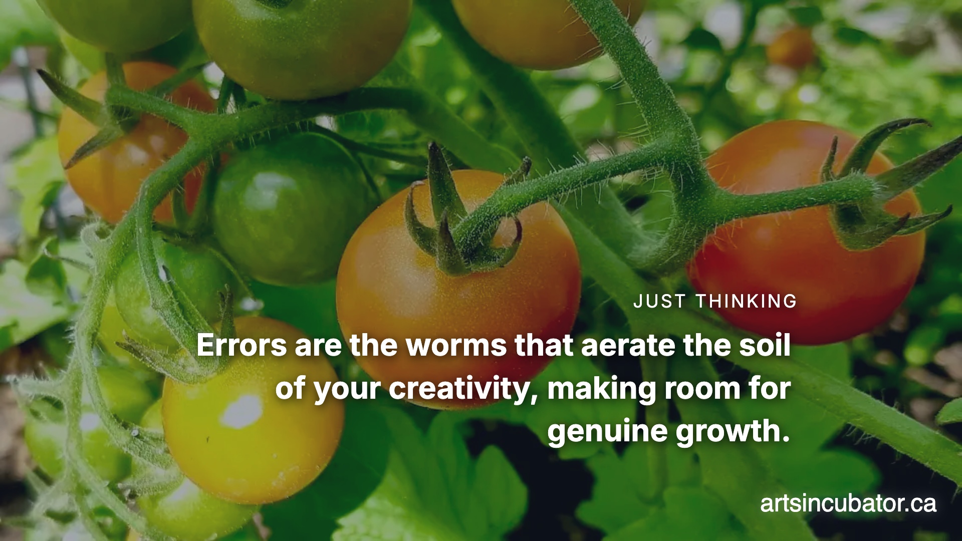 The Mycelium of the Meat-Space