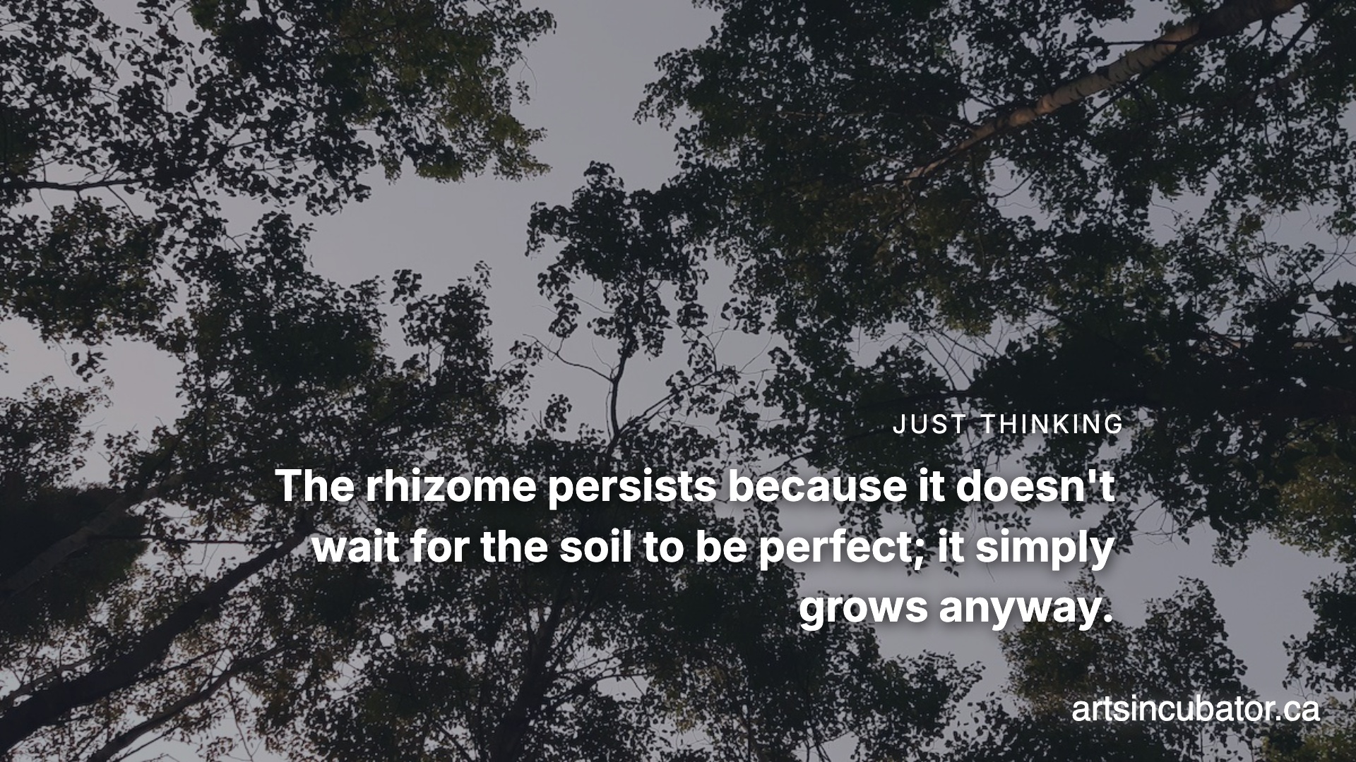 Your Ephemera Is The Only Real Map We Have