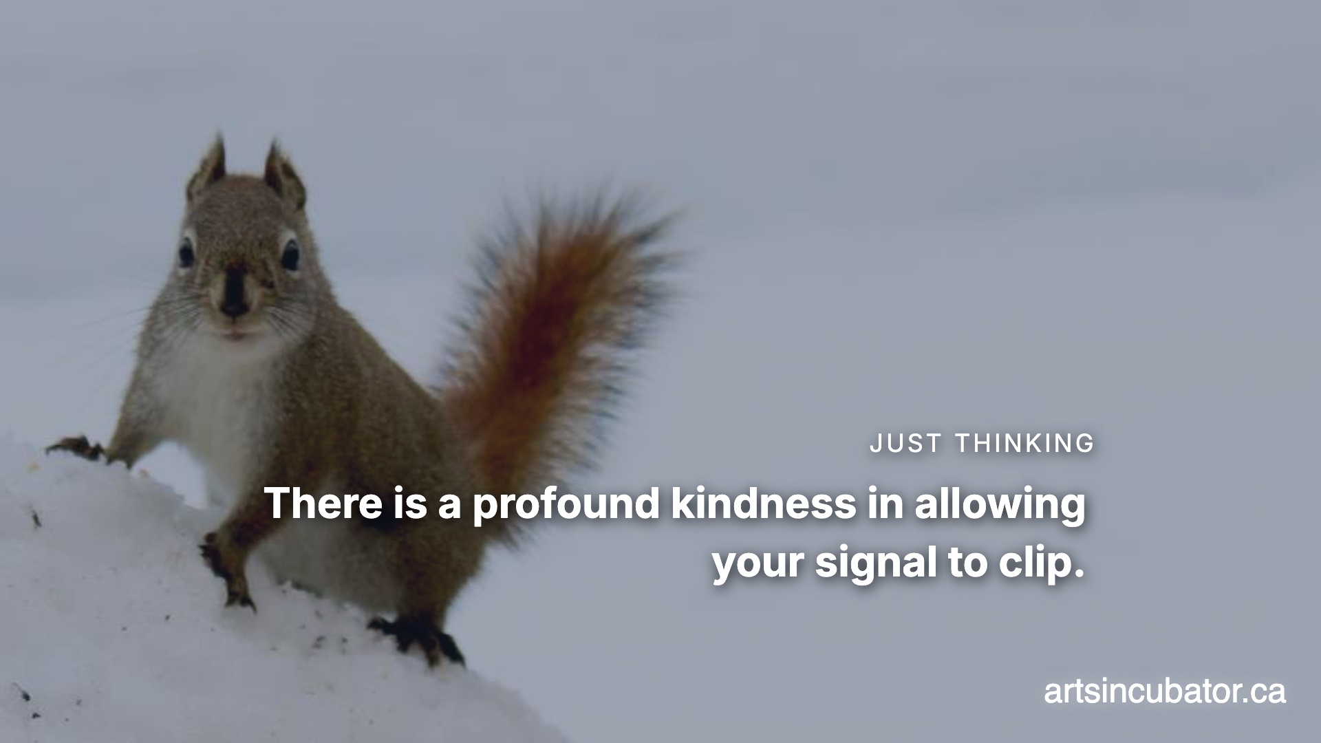 Circuit Bending the Burnout