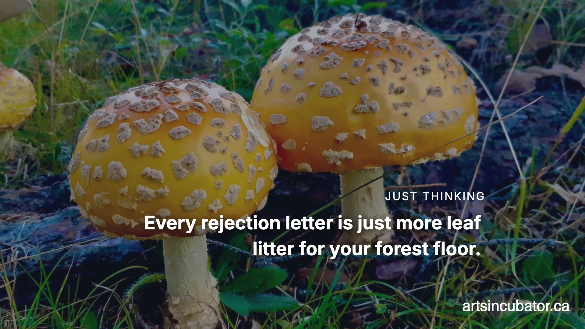 The Mycelium of the Maybe