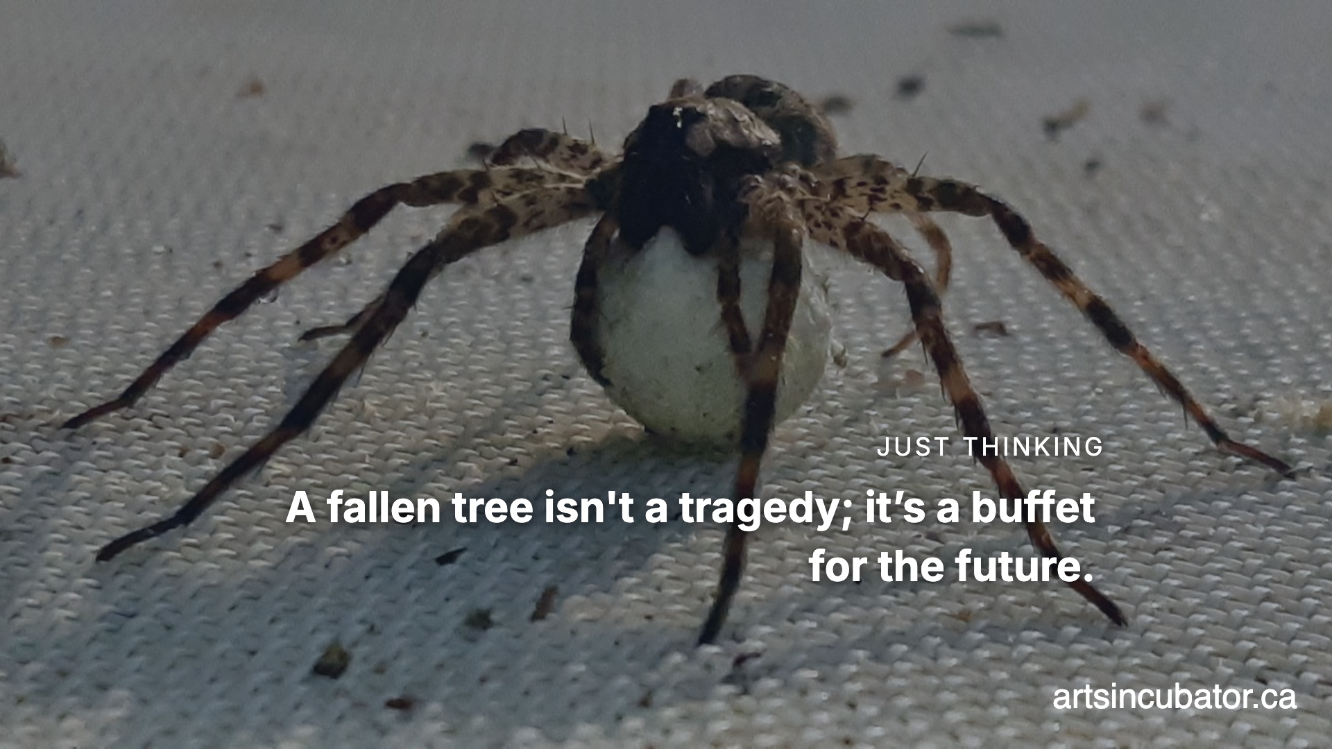 The Nutrient Density of the Dark