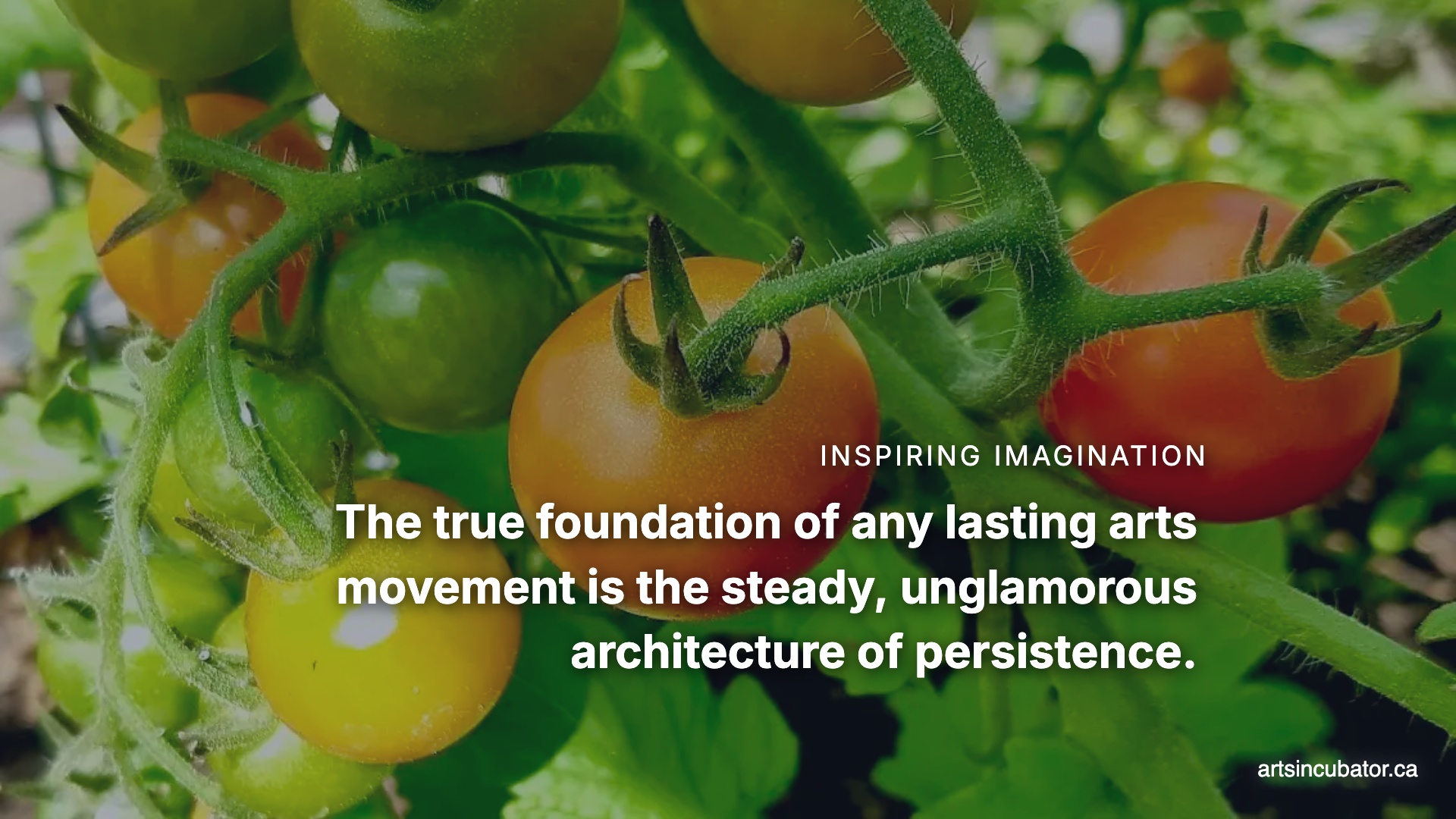 The Power of a Steady Hand