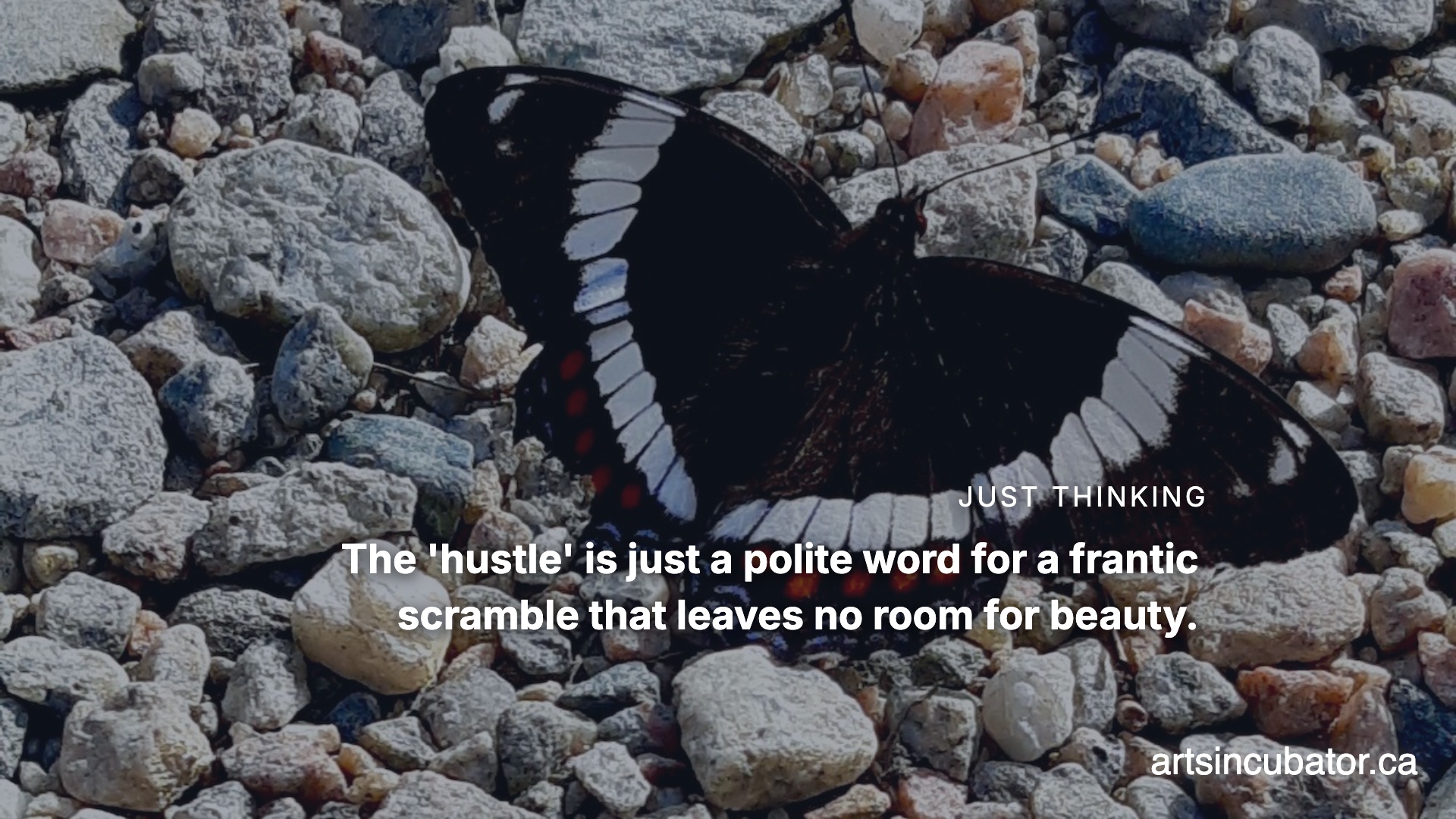 Stop Racing Moving Targets