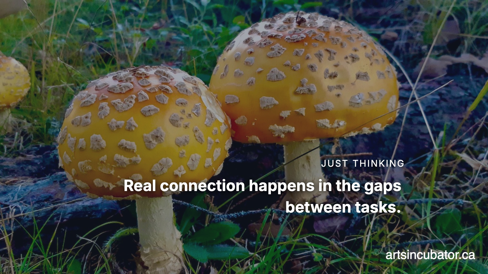 The Art of Shared Presence