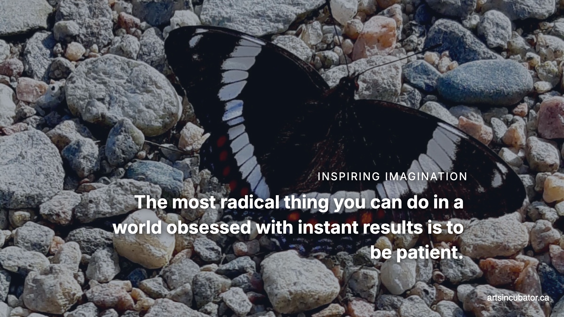 The Rhythm of Real Change