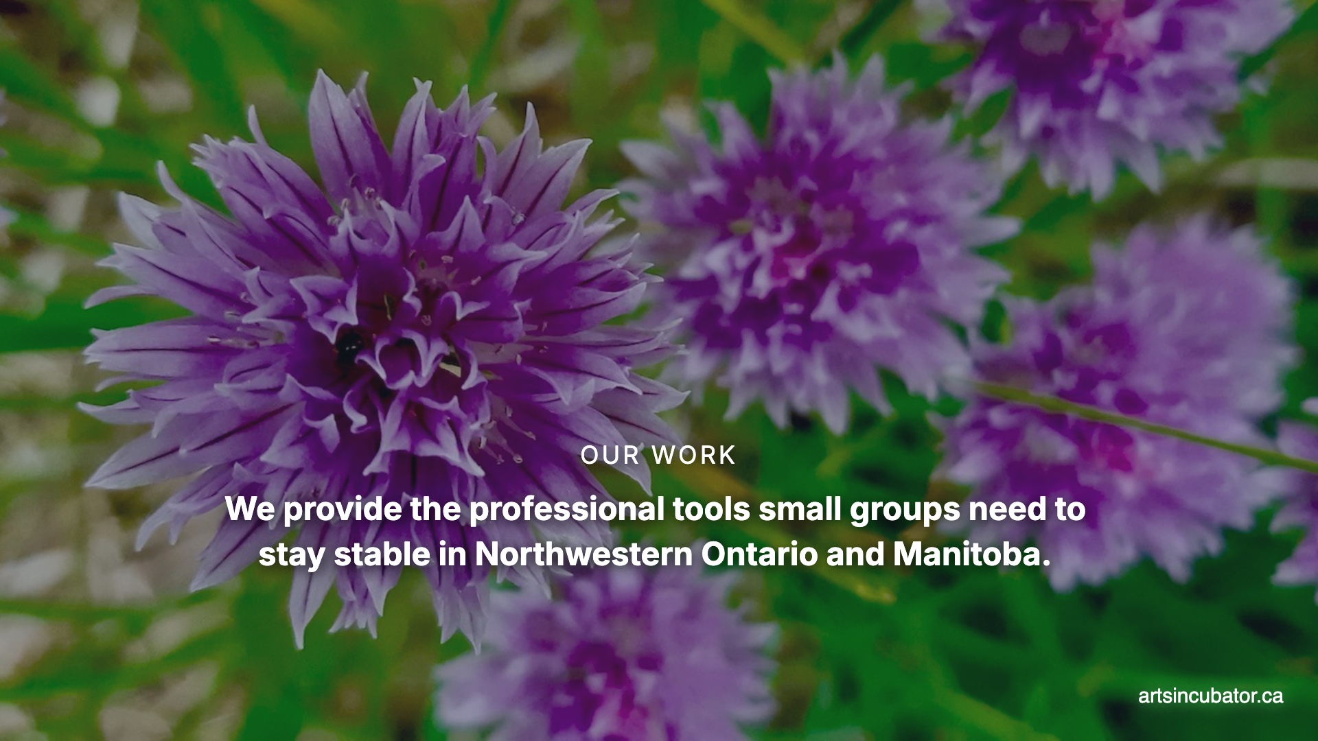 Small groups in Manitoba and Northwestern Ontario deserve professional support. We offer capacity building to help you thrive. #NonProfit #Community