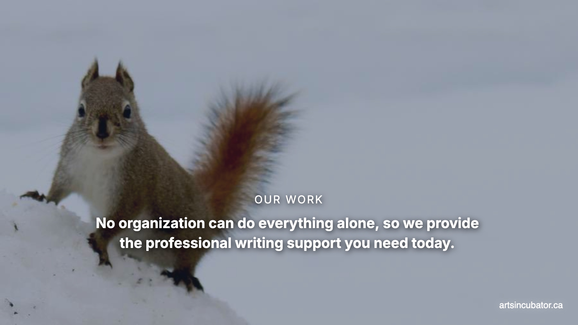 Secure the funding your organization deserves. We offer professional Grant and Proposal Writing Services across Northwestern Ontario. #NWOn #Grants