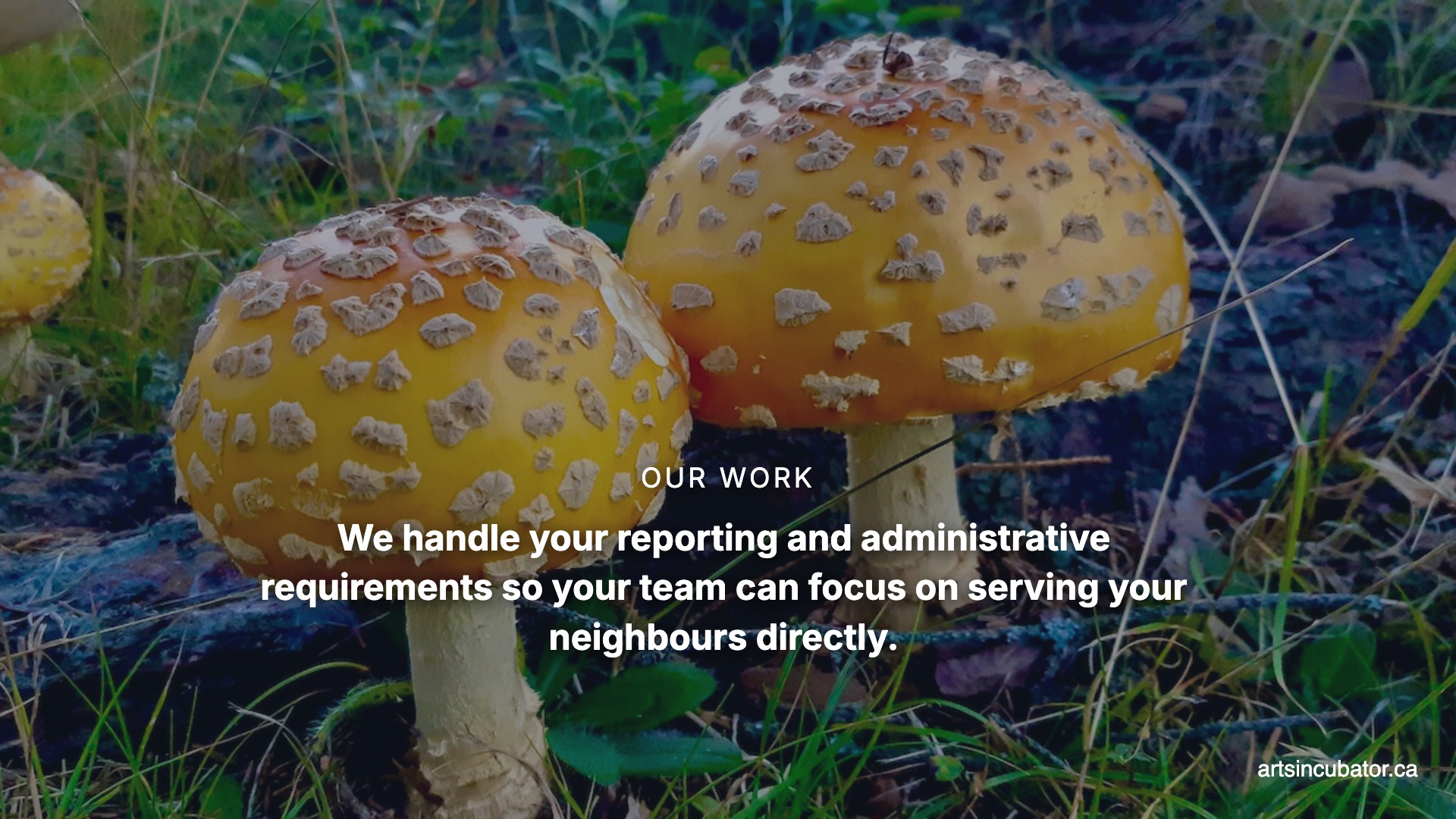 Small non-profits in Ontario and Manitoba are drowning in reports. We handle the paperwork so you can do the work. #NonprofitSupport #ReportWriting