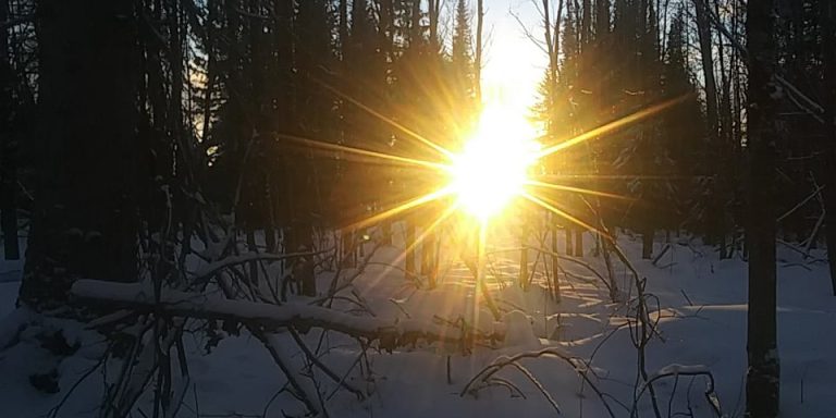 268983162_237850585154484_2274588624039797933_n