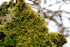 Pioneering Partnerships: UNEP’s Playbook for Private Sector Innovation