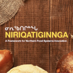 Watch our Niriqatiginnga Pitch Deck